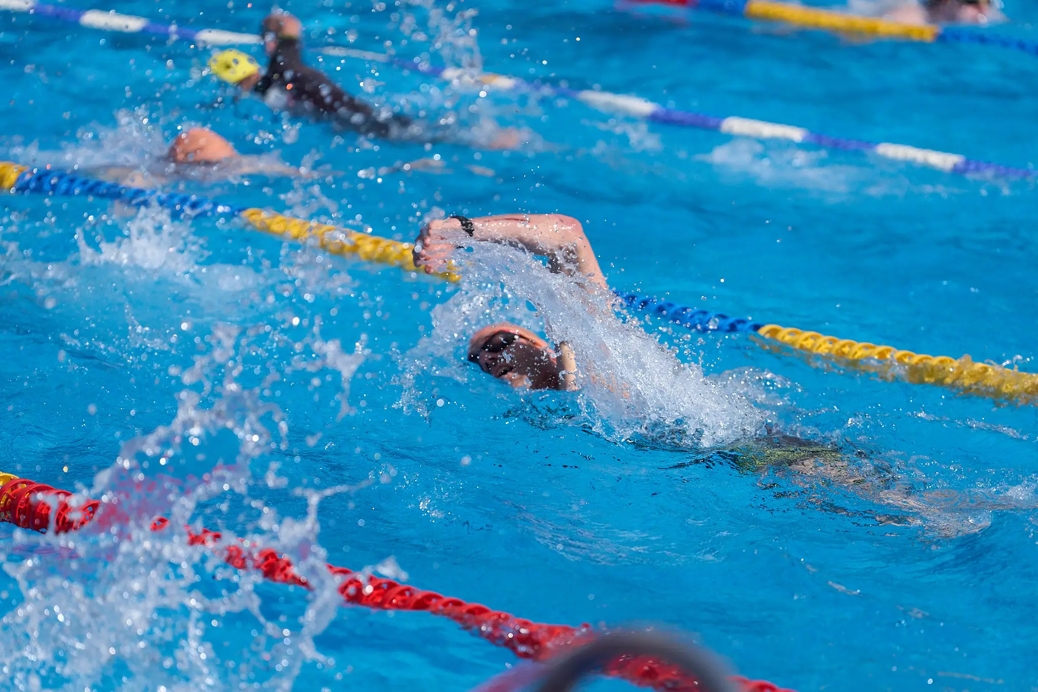 Gerrit swimming